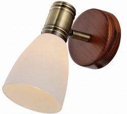 Спот Sharyl TL3720Y-01BB
